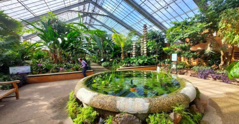 This Hidden Michigan Botanical Garden Has a 1,000-Year-Old Bonsai Tree and Trails That Feel Worlds Away