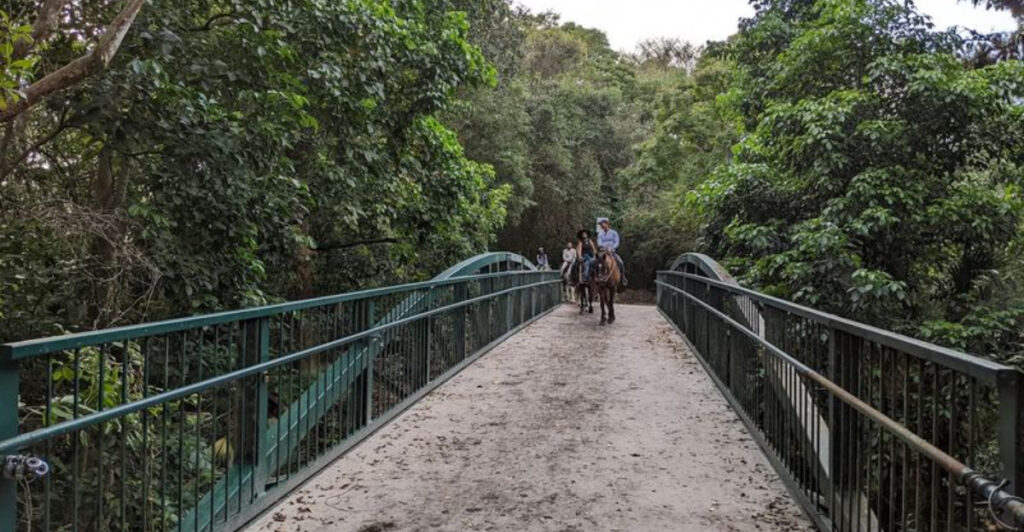 This Hidden Nature Preserve in Davie Is a Peaceful Escape From South Florida Crowds