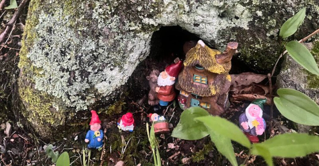 This Hidden New Jersey Forest Feels Like Stepping Into a Fairy Tale