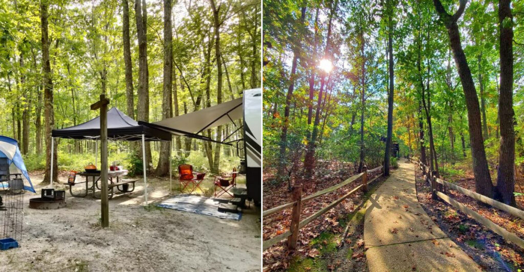 This Hidden New Jersey Nature Spot Has Trails, Camping, and a Surprisingly Scenic Lake