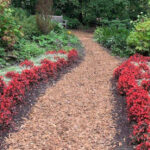 This Hidden Virginia Arboretum Is Packed With Peaceful Trails and Native Beauty