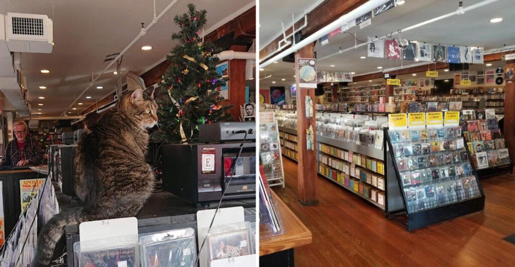 This Iconic New Orleans Record Store Is a Dream Come True for Music Lovers