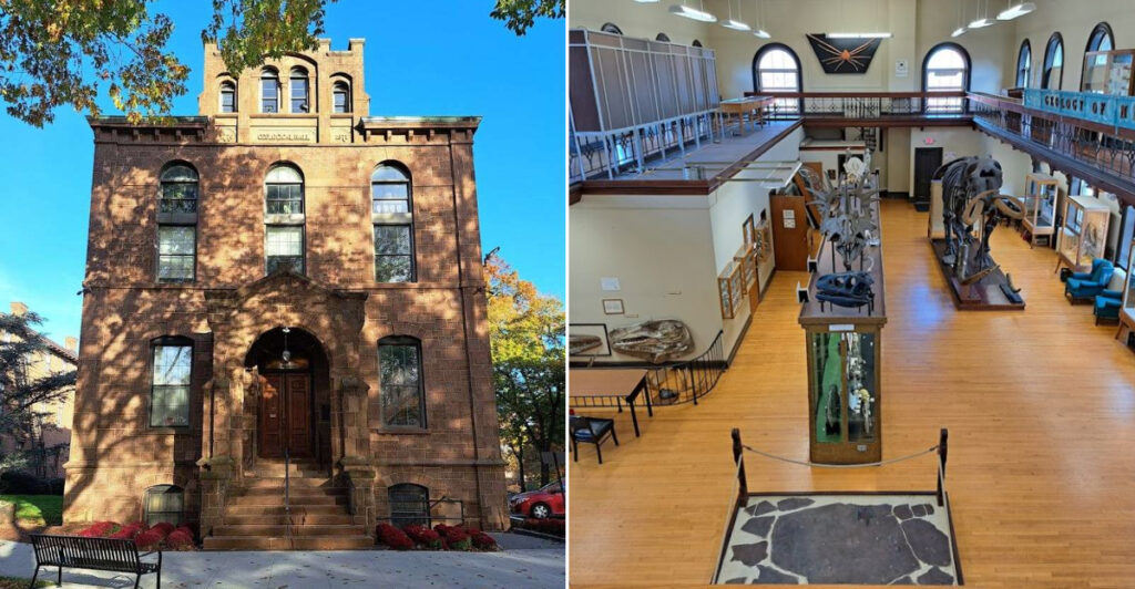 This Little-Known Campus Building in New Jersey Holds One of America’s Oldest Natural History Secrets