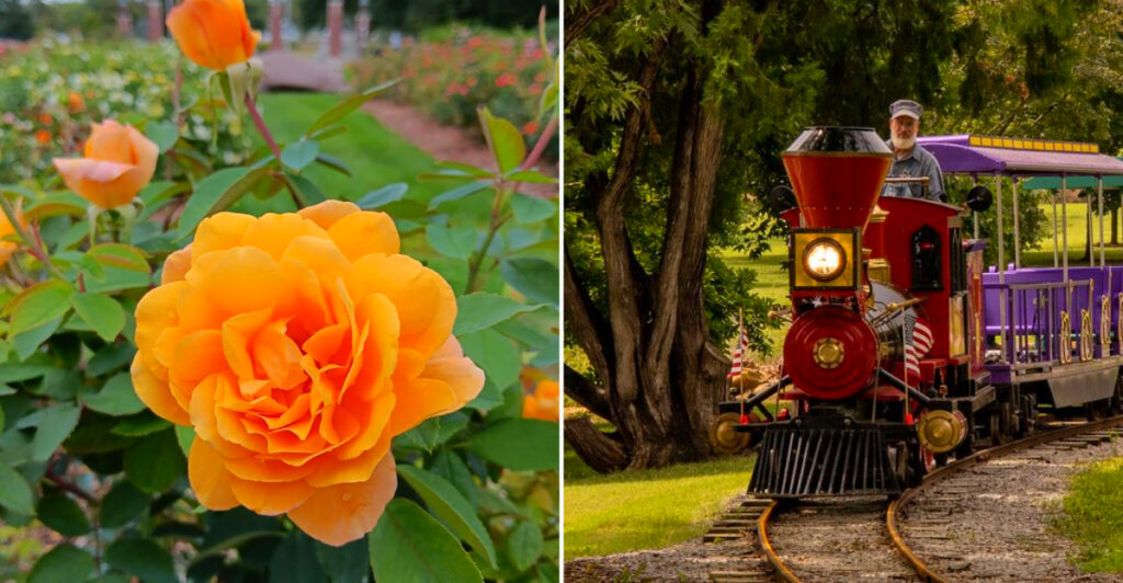 This Massive Kansas Park Has Rose Gardens, a Mini Train, and a 1908 Carousel All in One Place