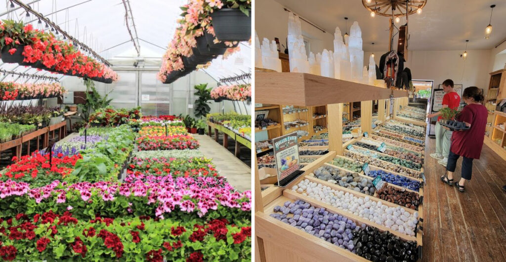 This Massive Ohio Greenhouse Feels Like a Whimsical Escape Filled With Plants and Good Vibes
