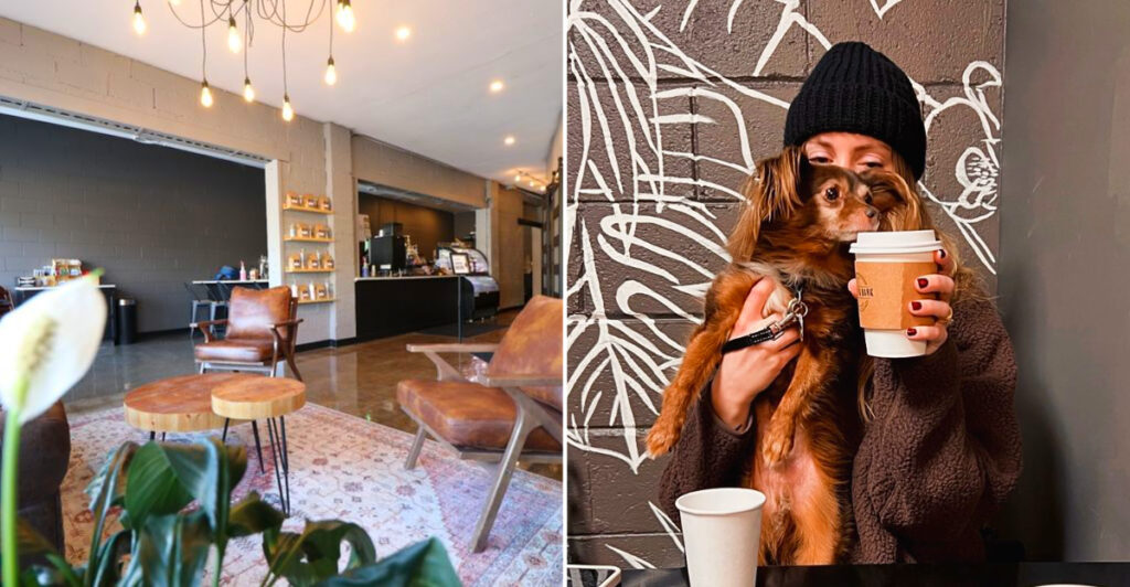 This Michigan Café Lets You Sip Specialty Lattes While Your Dog Enjoys an Indoor VIP Lounge