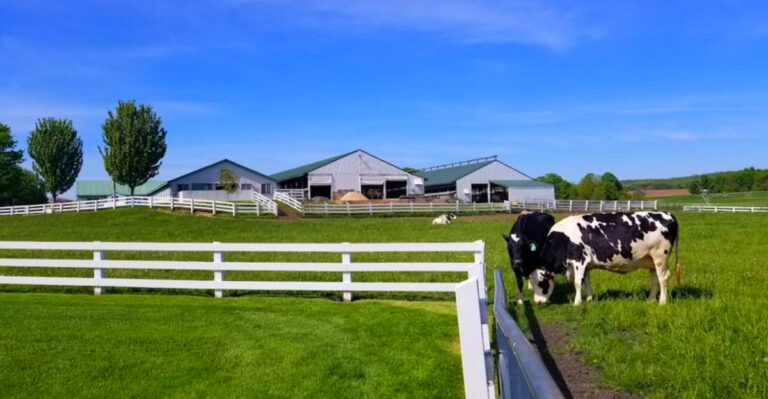 This Michigan Dairy Farm Quietly Became a Dream Day Trip for Families, Food Lovers, and Ice Cream Fans