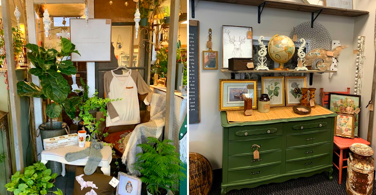 This Michigan Shop Turns Vintage Furniture, Succulents, and Boutique Finds Into a Treasure Hunt