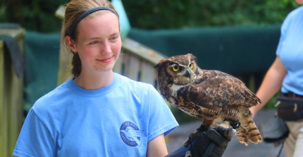 This Missouri Wildlife Sanctuary Lets You Hold Owls, See Bald Eagles Up Close, and Watch Raptors Soar Overhead