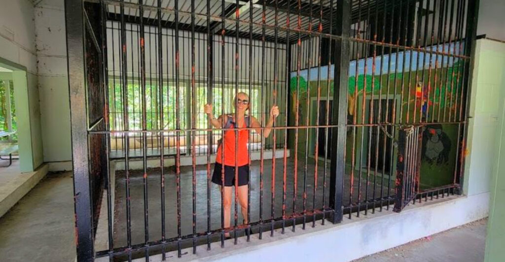 This New Hampshire Park Lets You Walk Through a Famous Gorilla Cage and Explore the Ruins of a Forgotten Zoo