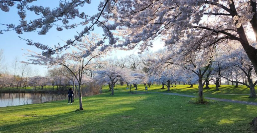 This New Jersey Park Feels Way Too Beautiful to Be a Local Secret