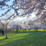 This New Jersey Park Feels Way Too Beautiful to Be a Local Secret