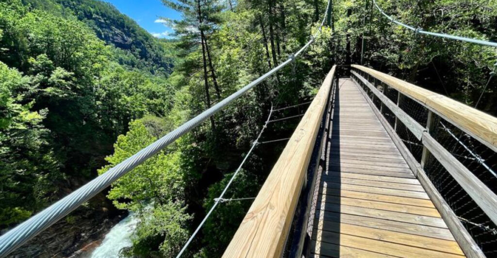 This North Georgia Canyon Has a Swaying Bridge 80 Feet Above the Rocks