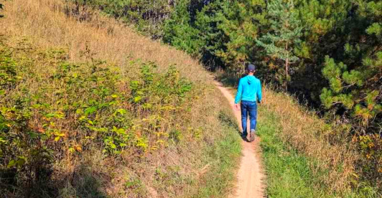 This Northern Michigan Trail System Has 30+ Miles of Forest Paths, Rolling Hills, and Lake Views