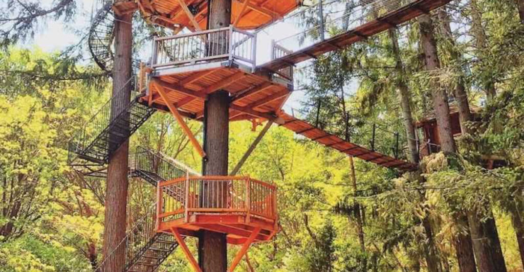 This Oregon Forest Escape Lets You Sleep in Treehouses and Zip-Line Between Cabins the Next Morning