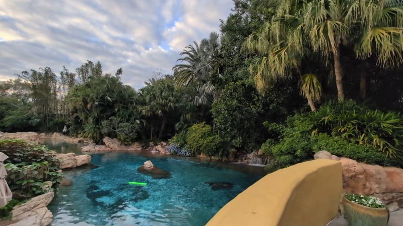 Where Discovery Cove Calls Home