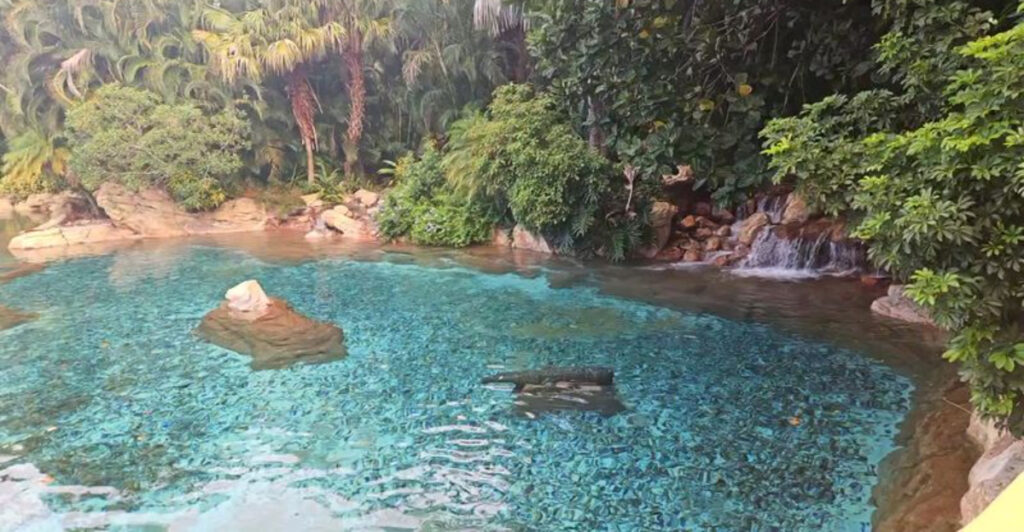 This Orlando Park Lets You Swim With Dolphins in a Tropical Paradise