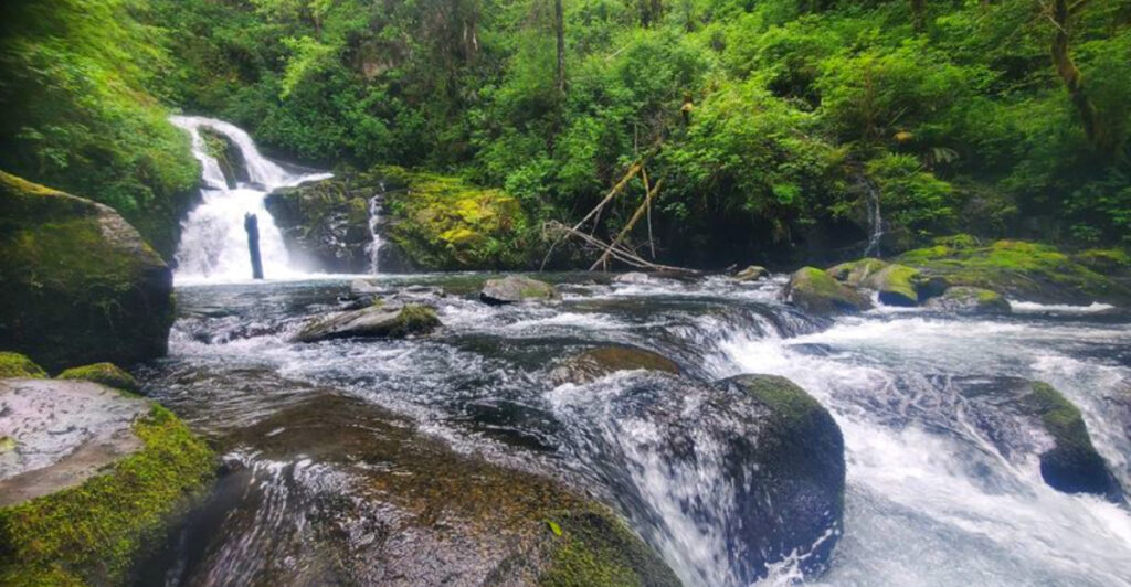 This Peaceful Forest Hike Combines Shady Trails With Beautiful Flowing Creek Views
