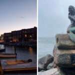 This Peaceful Maine Coastal Town Offers Foggy Sunrises and Amazing Whale Encounters