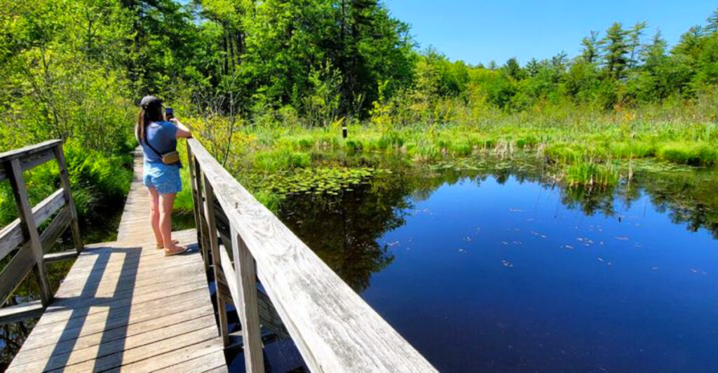 This Peaceful New Hampshire Nature Preserve Has 35 Miles of Forest Trails, Wildlife Ponds, and Storybook Quiet