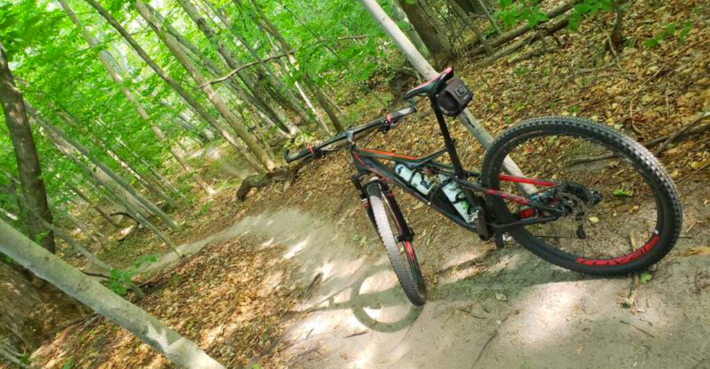 This Peaceful Northern Michigan Trail System Has Smooth Forest Paths, Beginner Loops, and One Seriously Addictive Ride