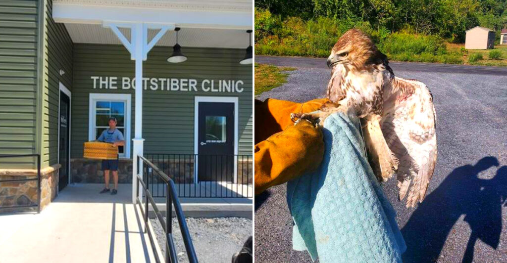 This Pennsylvania Wildlife Center Has Rescued Thousands of Eagles, Raccoons, and Injured Native Animals Since 1991