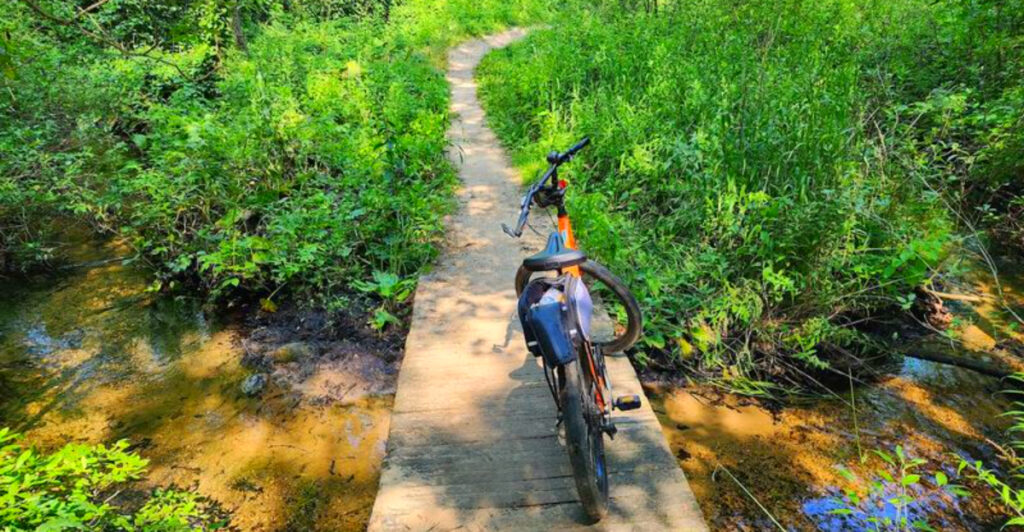 This Popular Michigan Mountain Bike Trail Has Brutal Climbs, Sandy Descents, and Forest Views Worth Every Mile