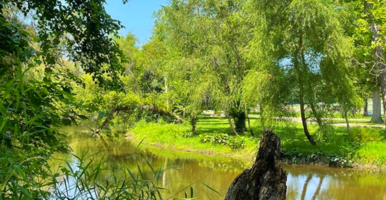 This Quiet Michigan Park Has a River Island, Scenic Trails, and Benches Made for Unwinding