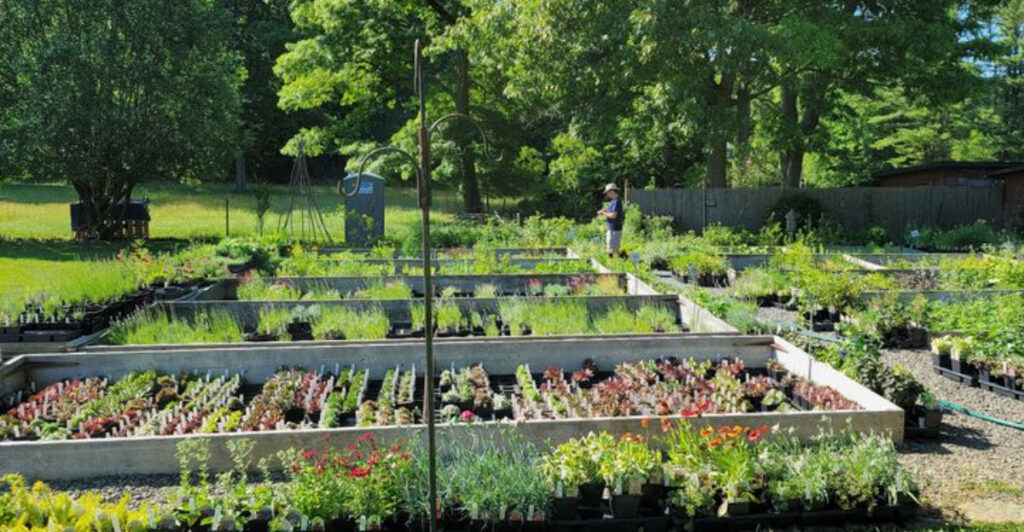 This Quiet New Jersey Farm Is Hiding One Of The Largest Herb Collections In The Country