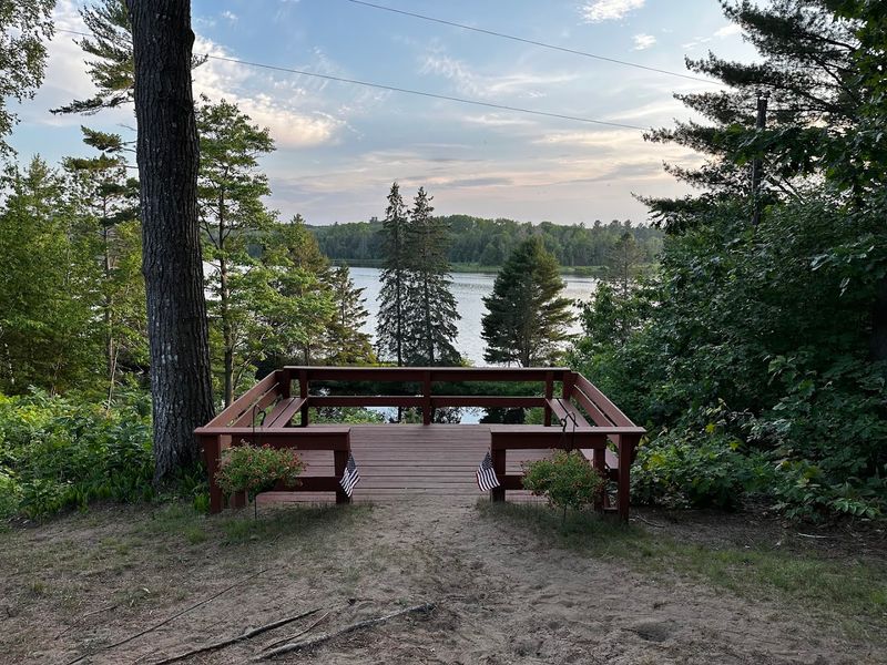 Where the Forest Meets Your Front Door
