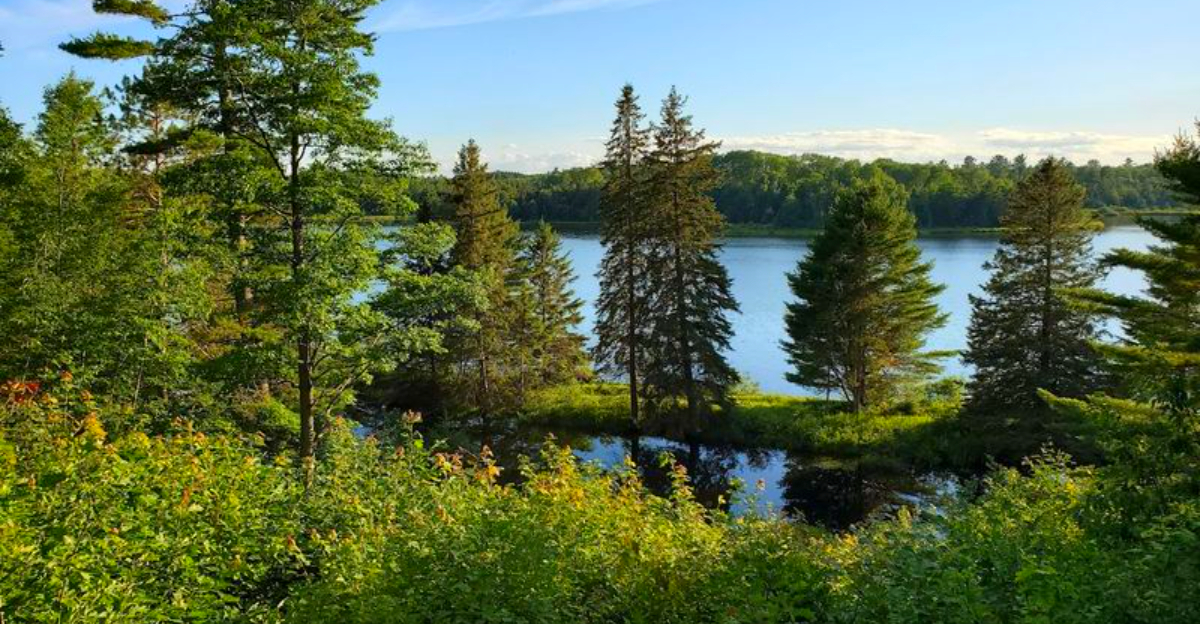 This Remote Michigan Resort Sits in the Forest Near Pictured Rocks – With Lake Views and Trails at Your Door