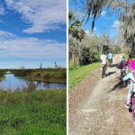 This Scenic Florida Overlook Offers Views Most People Never Expect to See