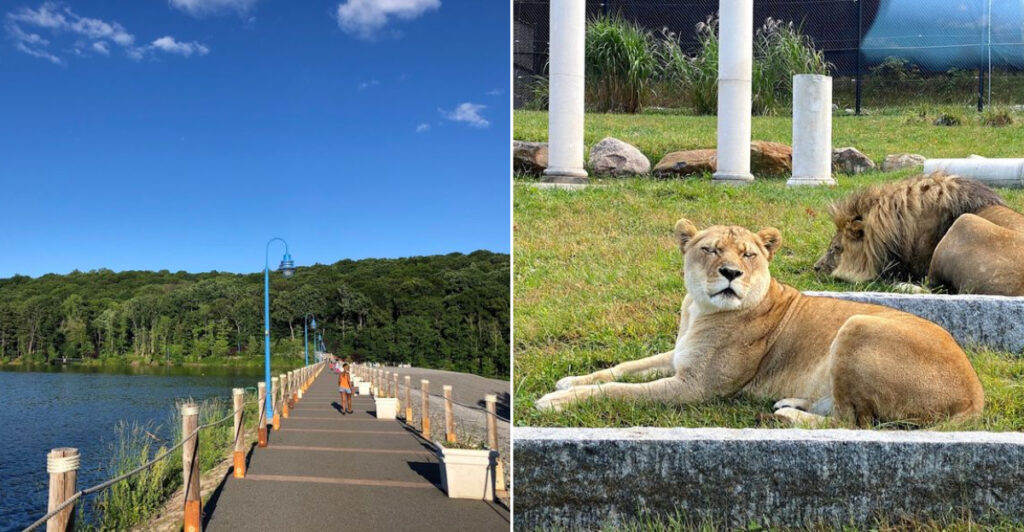 This Scenic New Jersey Reservation is Packed With Waterfalls, Zoo Adventures, Paddle Boats, and Unexpected Fun