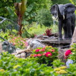 This Small New Jersey Plant Haven Has Everything From Rare Houseplants To Garden Décor