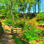 This Storybook Arkansas Landmark Has a Giant Waterwheel, Stone Bridges, and a Surprising Hollywood Connection