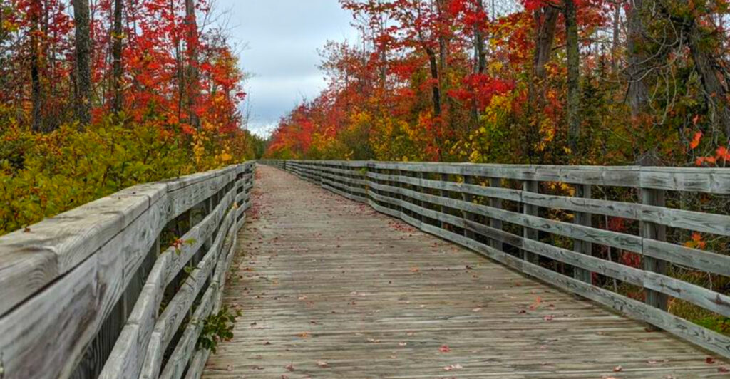 This Stunning Michigan Trail Runs Along Lake Michigan with Bluff Views, Boardwalks, and Charming Waterfront Towns