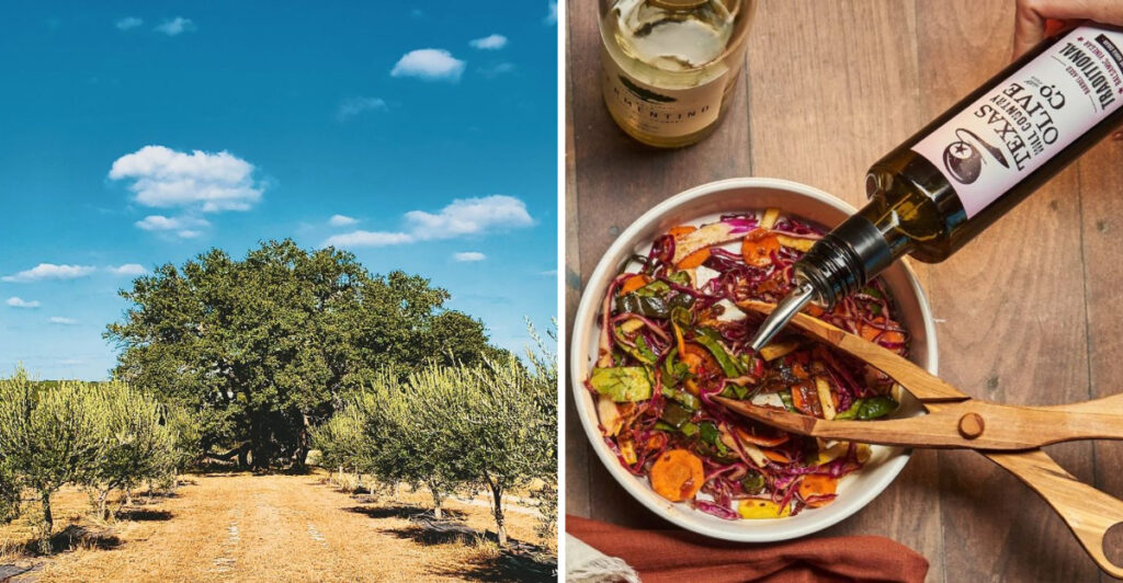 This Texas Hill Country Olive Farm Feels Like a Taste of Tuscany