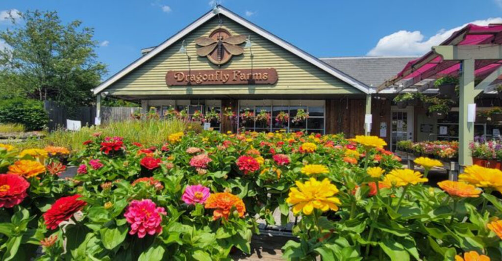 This Under-the-Radar Hamilton Destination Is a Dream for Plant Lovers