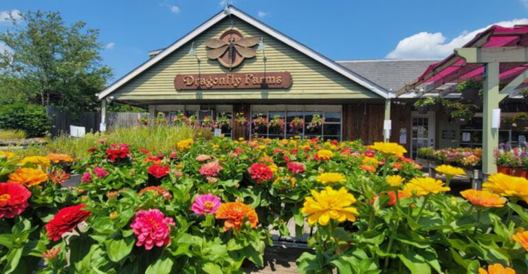 This Under-the-Radar Hamilton Destination Is a Dream for Plant Lovers