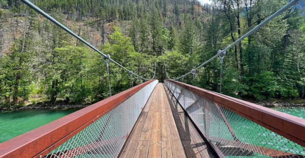 This Washington Suspension Bridge Leads Straight Into A Forest Of Ancient Cedar Giants