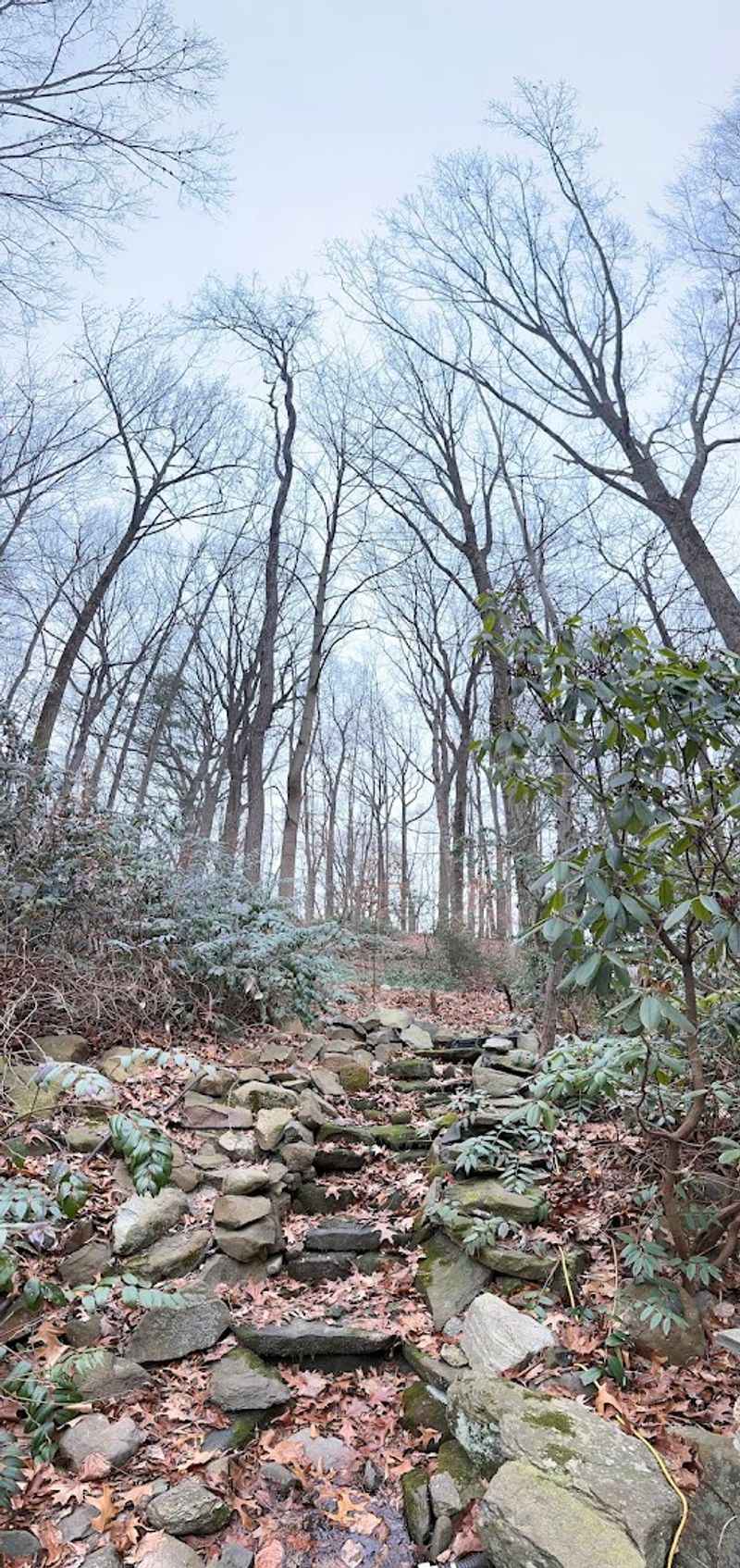 Three Miles of Trails Through a Surprisingly Hilly Forest