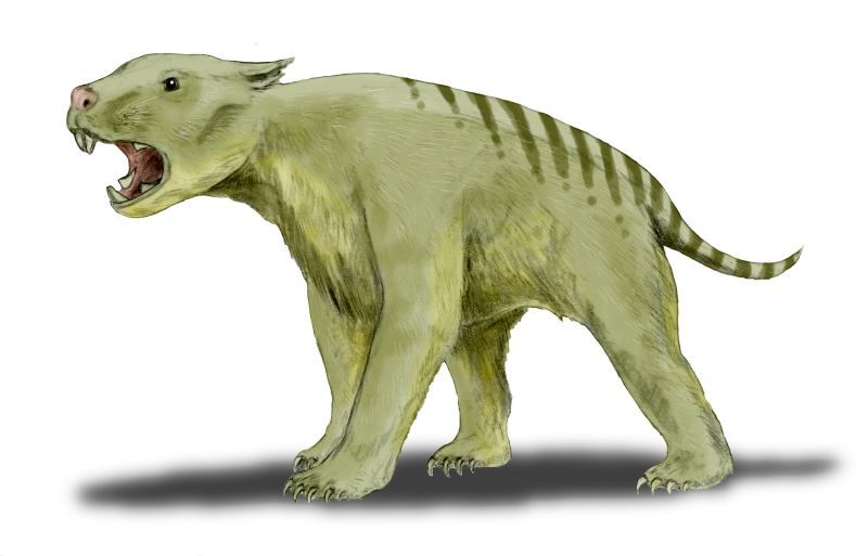 Thylacoleo Thylacoleo
