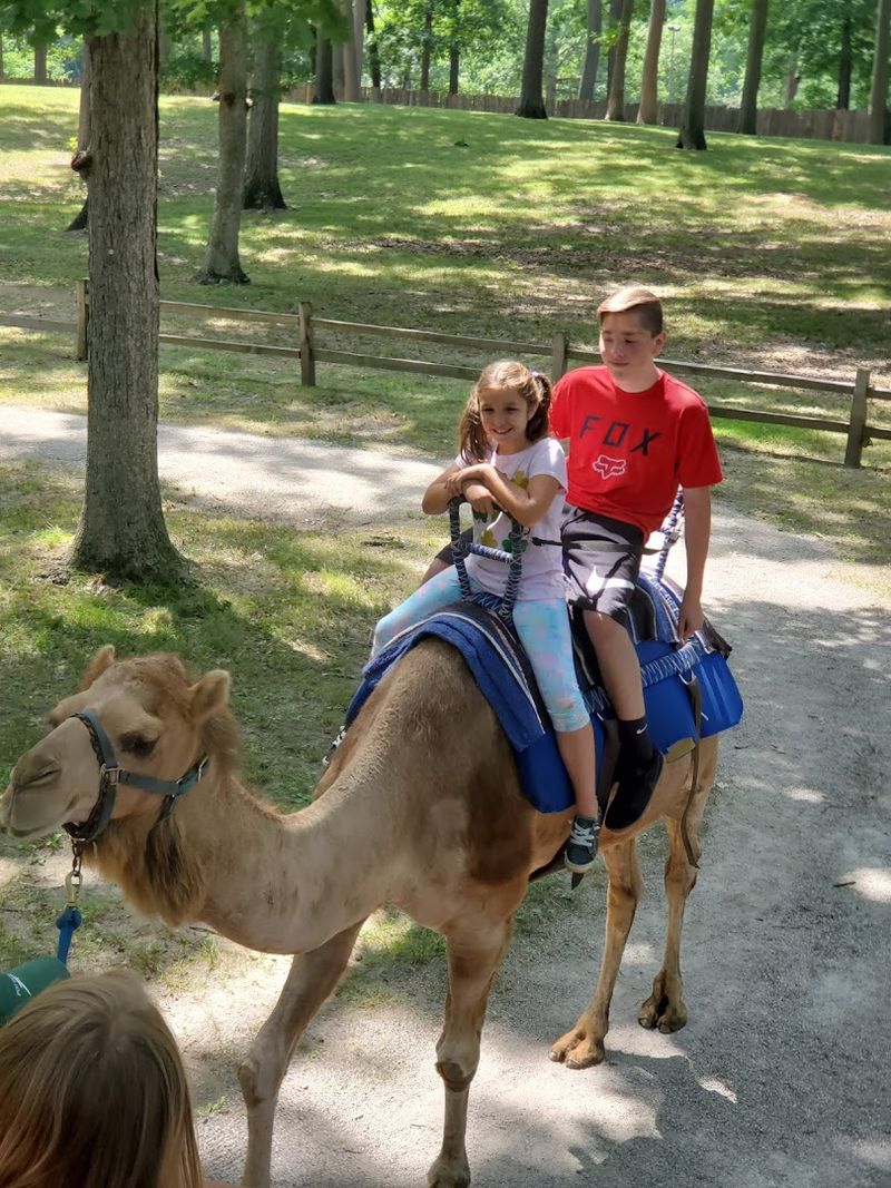 Tips for Getting the Most Out of Your Visit