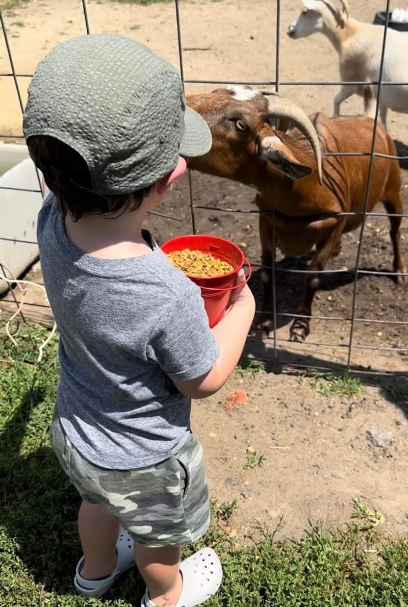 Tips for Visiting with Very Young Kids