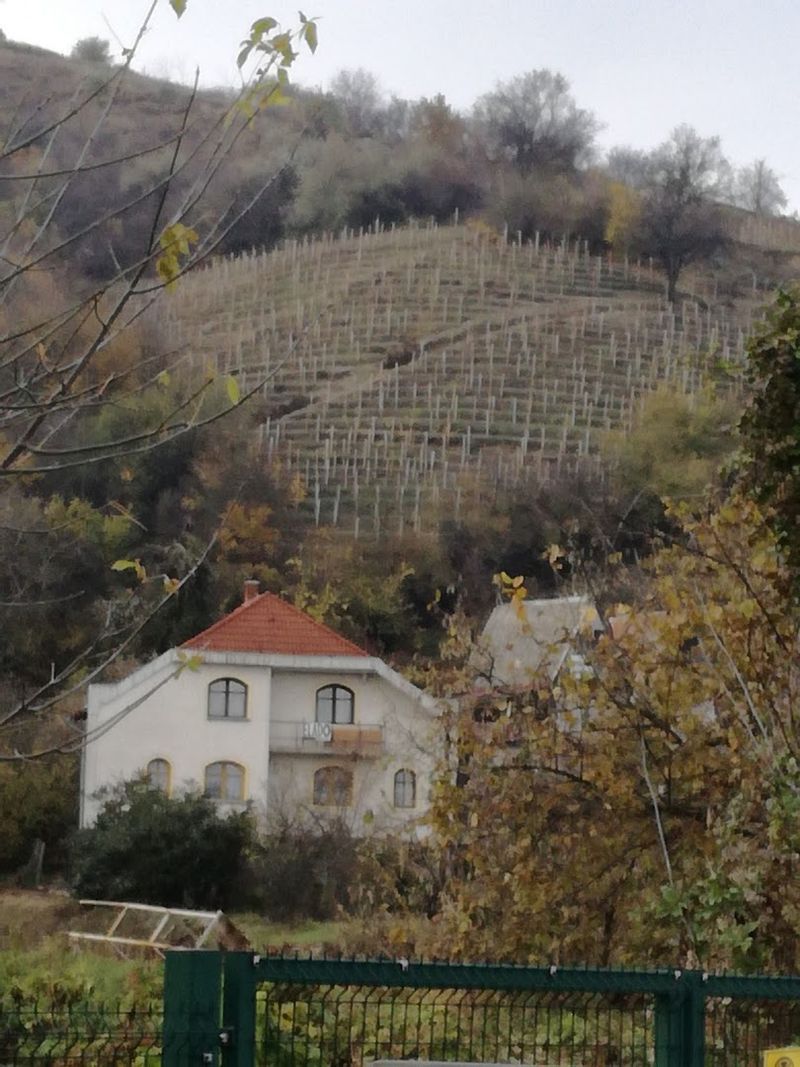 Tokaj, Hungary Tokaj, Hungary