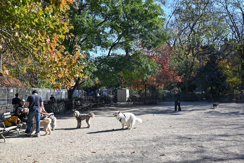 Tompkins Square Dog Run - New York, New York Tompkins Square Dog Run - New York, New York