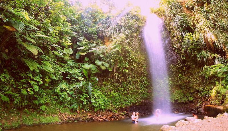 Toraille Waterfall: Where Rainforest Meets a Natural Pool Toraille Waterfall: Where Rainforest Meets a Natural Pool