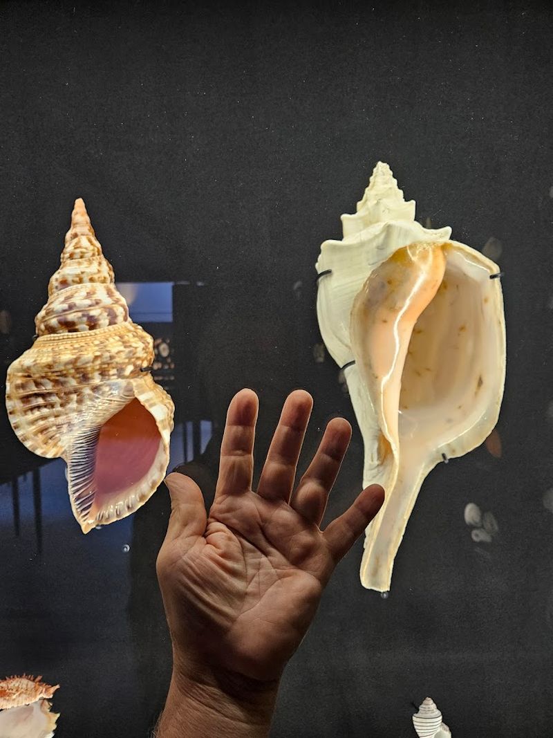 Touch Tanks: Hands-On Learning at Its Best