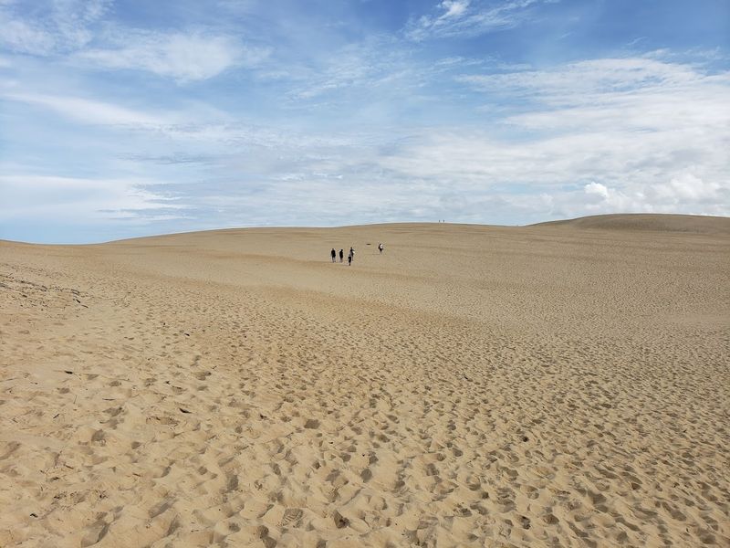 Tracks in the Sand Trail, Nags Head, North Carolina