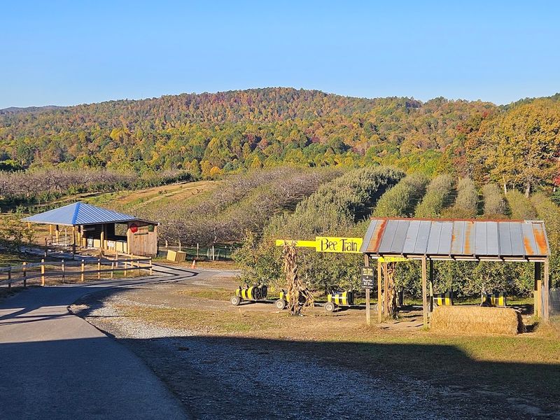 Tractor Rides and Mountain Vista Views